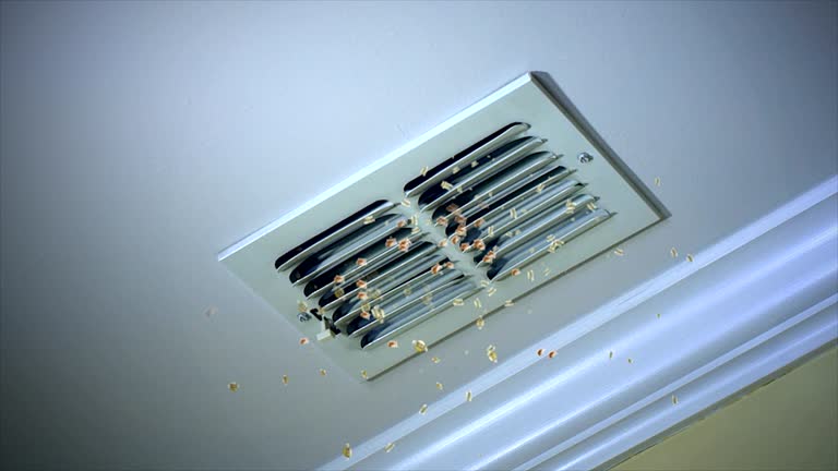 Best Air Duct Cleaning Cost  in St Joseph, IL