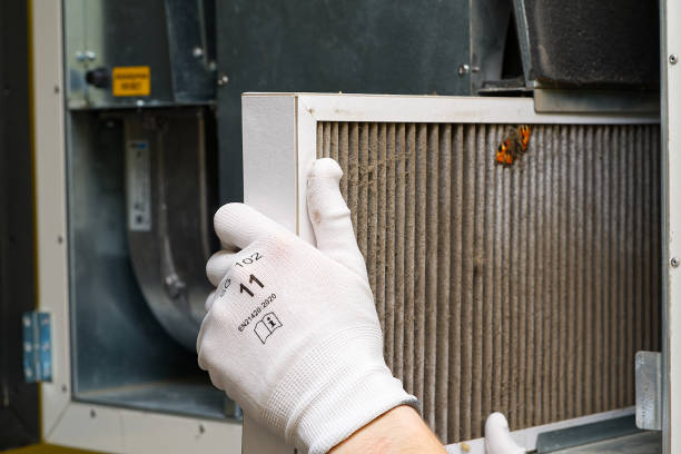 Best Air Quality Test  in St Joseph, IL